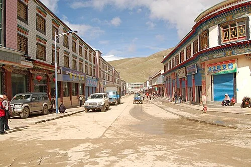 Kailash Mansarovar Yatra by Overland 2026 For NRIs & Foreigners - Day 9